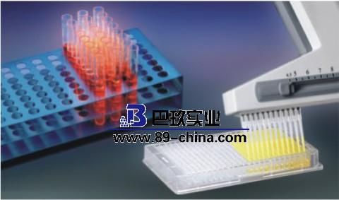 電動多道移液器 電動多道移液器