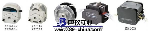 基本型蠕動泵WT600-2J泵頭