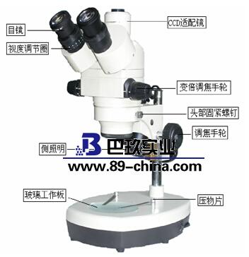 體視顯微鏡PXS6-T 體視顯微鏡PXS6-T