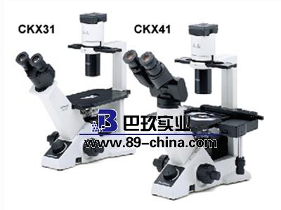 CKX41-A32FL/PH熒光倒置顯微鏡 CKX41-A32FL/PH熒光倒置顯微鏡