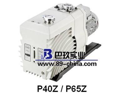 ILMVAC伊爾姆P65Z兩級旋片泵 ILMVAC伊爾姆P65Z兩級旋片泵