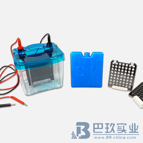 北京六一DYCZ-40G型轉(zhuǎn)印電泳儀