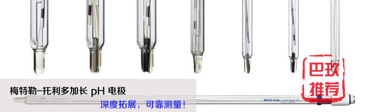 梅特勒托利多加長(zhǎng)pH電極 梅特勒托利多加長(zhǎng)pH電極