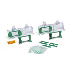 Mini-PROTEAN? Tetra Cell Casting Module 1658021 Mini-PROTEAN? Tetra Cell Casting Module 1658021