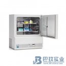 美國(guó)thermo BK6160低溫培養(yǎng)箱