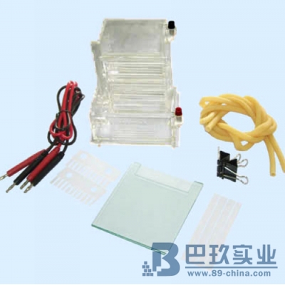 國產DYCZ-23A型小型單垂直電泳儀(槽)