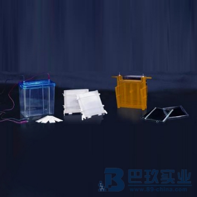 國產(chǎn)DYCZ-24F型雙垂直電泳儀(槽)（大號）