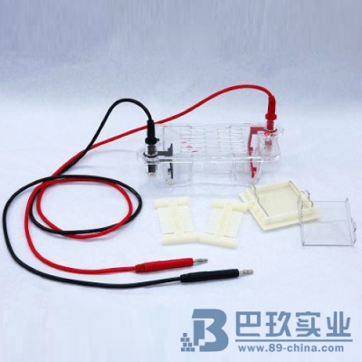 國(guó)產(chǎn)DYCP-31BN型瓊脂糖水平電泳儀(槽)(微型)
