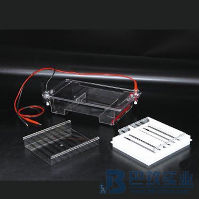 國產(chǎn)DYCP-31E型瓊脂糖水平電泳儀(槽)(中號)