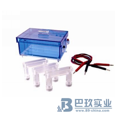 國產(chǎn)DYCP-43型蛋白質(zhì)回收電泳儀(槽)