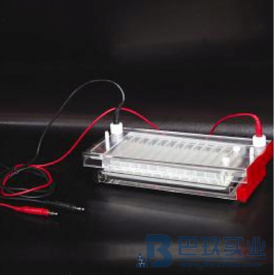 國產(chǎn)DYCP-44N快速凝膠電泳儀(槽)