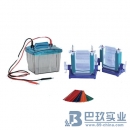 國產(chǎn)DYCZ-25E型(新)P4蛋白垂直電泳儀