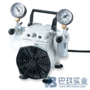 美國威爾奇2546C-02干式WOB-L活塞泵