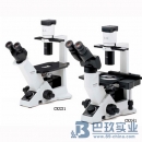 奧林巴斯CKX31倒置顯微鏡|OLYMPUS顯微鏡